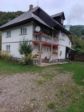 CabanaDobra Arieşeni
